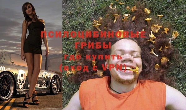 трава Надым