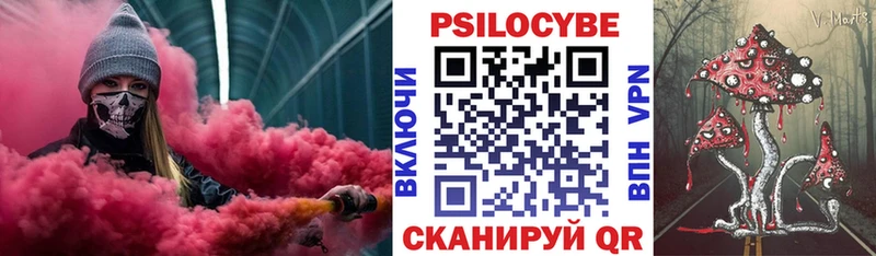 Галлюциногенные грибы Psilocybine cubensis  Дно 